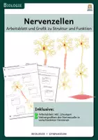 Vorschau - Arbeitsblätter - Nervenzellen - Arbeitsblatt und Grafiken zur Struktur und Funktion - Deckblatt