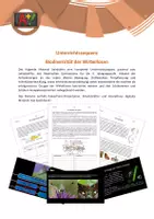 Vorschau - Stundenentwürfe - Materialpaket - Unterrichtssequenz Insekten - Deckblatt
