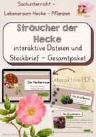 Vorschau - Arbeitsblätter - Die Sträucher der Hecke - interaktive Dateien: Gesamtpaket - Deckblatt