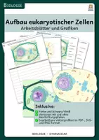 Vorschau - Arbeitsblätter - Aufbau eukaryotischer Zellen - Arbeitsblätter und Grafiken - Deckblatt