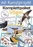 Vorschau - Stundenentwürfe - Komplettpaket - Alles über Vögel - mit Lapbooks, Kunstprojekt & Lernwerkstatt - Deckblatt