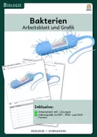 Vorschau - Arbeitsblätter - Struktur von Bakterien - Arbeitsblatt und Grafik - Deckblatt