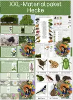 Vorschau - Arbeitsblätter - XXL- Materialpaket - Hecke /Lebensraum Hecke - Deckblatt