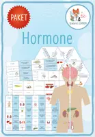 Vorschau - Arbeitsblätter - Hormone – 5x Aktivitäten und Spiele - Deckblatt