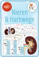Vorschau - Arbeitsblätter - Nieren & Harnwege – 6x Aktivitäten und Spiele - Deckblatt