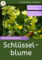 Vorschau - Arbeitsblätter - Schlüsselblume - Materialpaket Frühblüher - Deckblatt