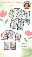 Vorschau - Arbeitsblätter - Materialpaket Nomenklaturen zur Tulpe - Deckblatt