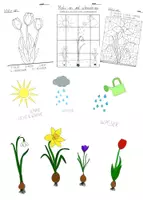 Vorschau - Arbeitsblätter - Frühblüher Materialpaket - Deckblatt