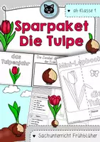 Vorschau - Mal- und Bastelvorlagen - Sparpaket | die Tulpe | das Tulpenjahr - Deckblatt