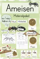 Vorschau - Arbeitsblätter - Materialpaket „Ameise“ - Deckblatt