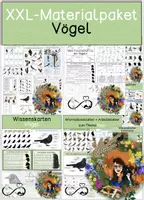 Vorschau - Arbeitsblätter - XXL-Materialpaket - Vögel - Deckblatt