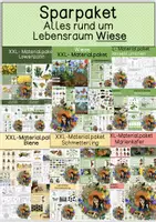 Vorschau - Spiele - Super Sparpaket - Wiese / Biene/ Schmetterling /Marienkäfer/ Löwenzahn/ Gänseblümchen - Deckblatt