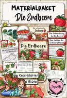 Vorschau - Arbeitsblätter - Erdbeere | Materialpaket | Sachunterricht Klasse 2/3 - Deckblatt