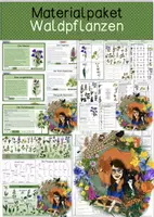 Vorschau - Mal- und Bastelvorlagen - Materialpaket - Waldpflanzen - Deckblatt