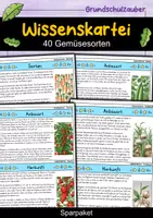 Vorschau - Bildkarten - Wissenskartei - 40 Gemüsesorten - Gemüse Materialpaket - Deckblatt