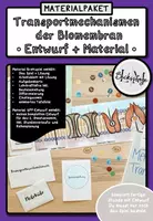 Vorschau - Stundenentwürfe - Materialpaket: Transportmechanismen der Biomembran - Deckblatt