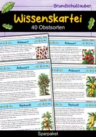 Vorschau - Bildkarten - Wissenskartei - 40 Obstsorten - Obst Materialpaket - Deckblatt