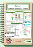 Vorschau - Spiele - Materialpaket: Blütenaufbau - Deckblatt