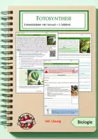 Vorschau - Arbeitsblätter - Materialpaket: Fotosynthese - Deckblatt