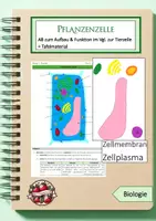 Vorschau - Arbeitsblätter - Materialpaket: Pflanzliche Zelle - Deckblatt