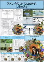 Vorschau - Arbeitsblätter - Materialpaket - Libelle - Deckblatt