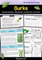 Vorschau - Arbeitsblätter - Gurke MEGABUNDLE - Wissenskartei, Lückentext, Steckbrief, Suchsel, Quizkarten, Pop Art Malvorlagen - Deckblatt