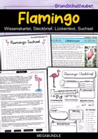 Vorschau - Arbeitsblätter - Flamingo MEGABUNDLE - Wissenskartei, Lückentext, Steckbrief, Suchsel, Quizkarten, POP Art Malvorlagen - Deckblatt