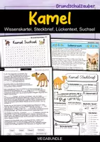 Vorschau - Arbeitsblätter - Kamel MEGABUNDLE - Wissenskartei, Lückentext, Steckbrief, Suchsel, Quizkarten, POP Art Malvorlagen - Deckblatt