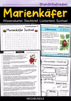 Vorschau - Arbeitsblätter - Marienkäfer MEGABUNDLE - Wissenskartei, Lückentext, Steckbrief, Suchsel, Quizkarten, POP Art Malvorlagen - Deckblatt