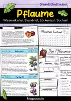 Vorschau - Spiele - Pflaume MEGABUNDLE - Wissenskartei, Lückentext, Steckbrief, Suchsel - Deckblatt