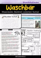 Vorschau - Arbeitsblätter - Waschbär MEGABUNDLE - Wissenskartei, Lückentext, Steckbrief, Suchsel, Quizkarten, POP Art Malvorlagen - Deckblatt