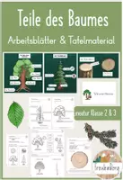 Vorschau - Arbeitsblätter - Teile des Baumes - Materialpaket - Deckblatt