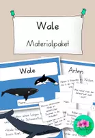 Vorschau - Mal- und Bastelvorlagen - Wale - wachsendes Materialpaket - Deckblatt