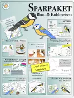Vorschau - Arbeitsblätter - SPARPAKET „BLAU- & KOHLMEISEN“ für Kindergarten- & Grundschulkinder (wachsend*) (Winter, Vögel, Meise, Frühling) - Deckblatt