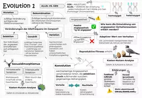 Vorschau - Unterrichtsreihen - Biologie-Merkblätter / Abi- & Reihenplanung + exklusives Gratis Skript zum Podcast biologo - Deckblatt