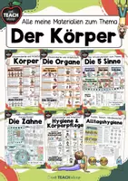 Vorschau - Arbeitsblätter - Sparpaket - Alle Wissenskarteien zum Körper - Deckblatt