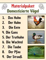 Vorschau - Spiele - Materialpaket: Domestizierte Vögel - Leseverständnis und Kreuzworträtsel mit Lösungen - Deckblatt