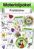 Vorschau - Arbeitsblätter - Materialpaket Frühblüher Forscherheft Wissenskartei Legekreis - Deckblatt