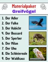 Vorschau - Spiele - Materialpaket: Greifvögel - Leseverständnis und Kreuzworträtsel mit Lösungen - Deckblatt