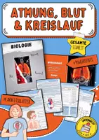 Vorschau - Arbeitsblätter - Biologie | Gesamte Einheit: "Atmung, Blut & Kreislauf“ | 14 Arbeitsblätter + Lösungen + 4 Präsentationen | Klasse 7 und 8 - Deckblatt