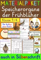 Vorschau - Arbeitsblätter - Speicherorgane der Frühblüher Klasse 1-4 MATERIALPAKET - Deckblatt