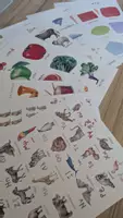 Προεπισκόπηση - Flashcards - Πακέτο όλων των αφισών Born2Play - Εξώφυλλο