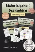 Vorschau - Arbeitsblätter - Materialpaket: Das Gehirn (Aufbau und Funktion, Großhirn) - Deckblatt