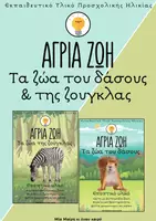 Προεπισκόπηση - Flashcards - Άγρια Ζωή: Τα ζώα του Δάσους και της Ζούγκλας - Εξώφυλλο