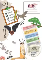 Vorschau - Arbeitsblätter - Tierbeschreibung - Lesen mit Strategie - Deckblatt