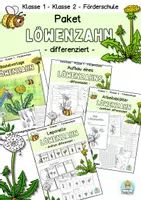 Vorschau - Stundenentwürfe - Paket Löwenzahn Klasse 1, Klasse 2, Förderschule - Deckblatt