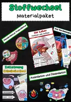 Vorschau - Stundenentwürfe - Stoffwechsel Materialpaket - Deckblatt