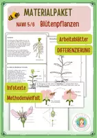 Vorschau - Arbeitsblätter - Materialpaket_Blütenpflanzen_NaWi - Deckblatt
