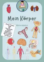 Vorschau - Spiele - Mein Körper - Materialpaket (Innere Organe, Sexualkunde, Skelett, Muskulatur, Nervensystem, Blutkreislauf, Ohr, Auge) - Deckblatt