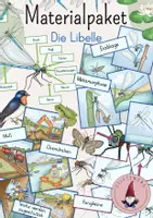 Vorschau - Arbeitsblätter - Materialpaket: Die Libelle - Deckblatt